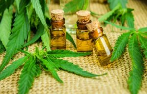 thc oil for pain