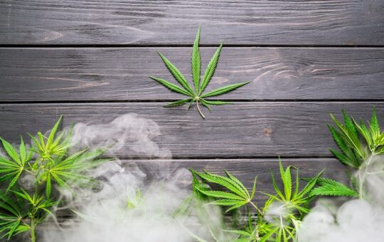 marijuana, cannabis leaves and smoke on a black wooden background